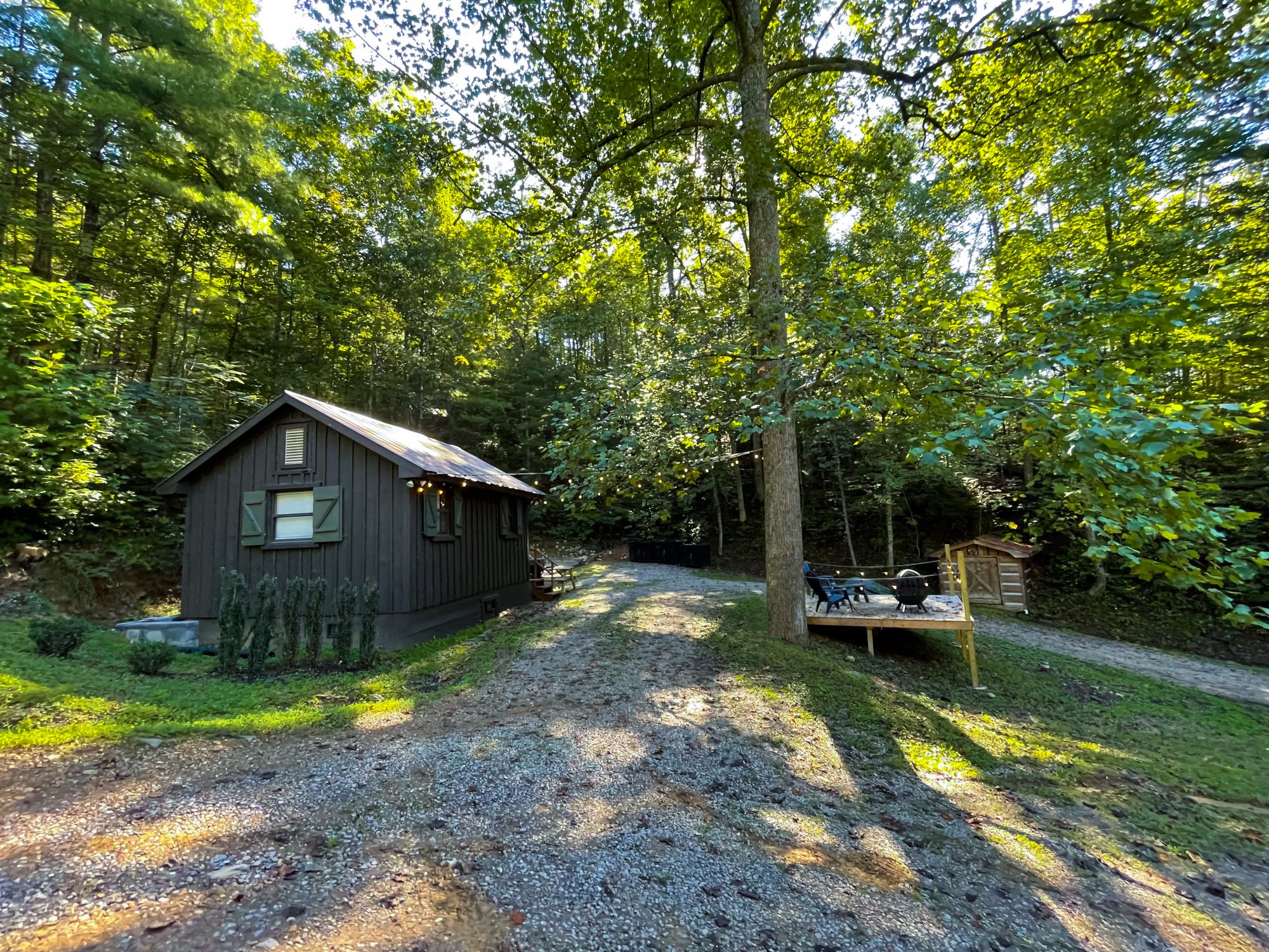 Sly Fox Hollow Tiny Cabin Rental in Smoky Mountains