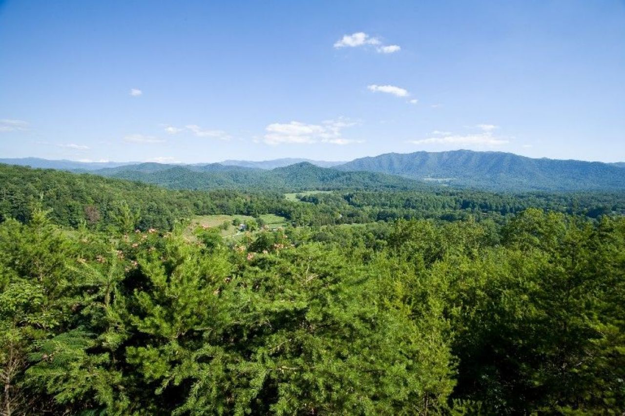 Elk Summit Cabin Rental in the Smoky Mountains