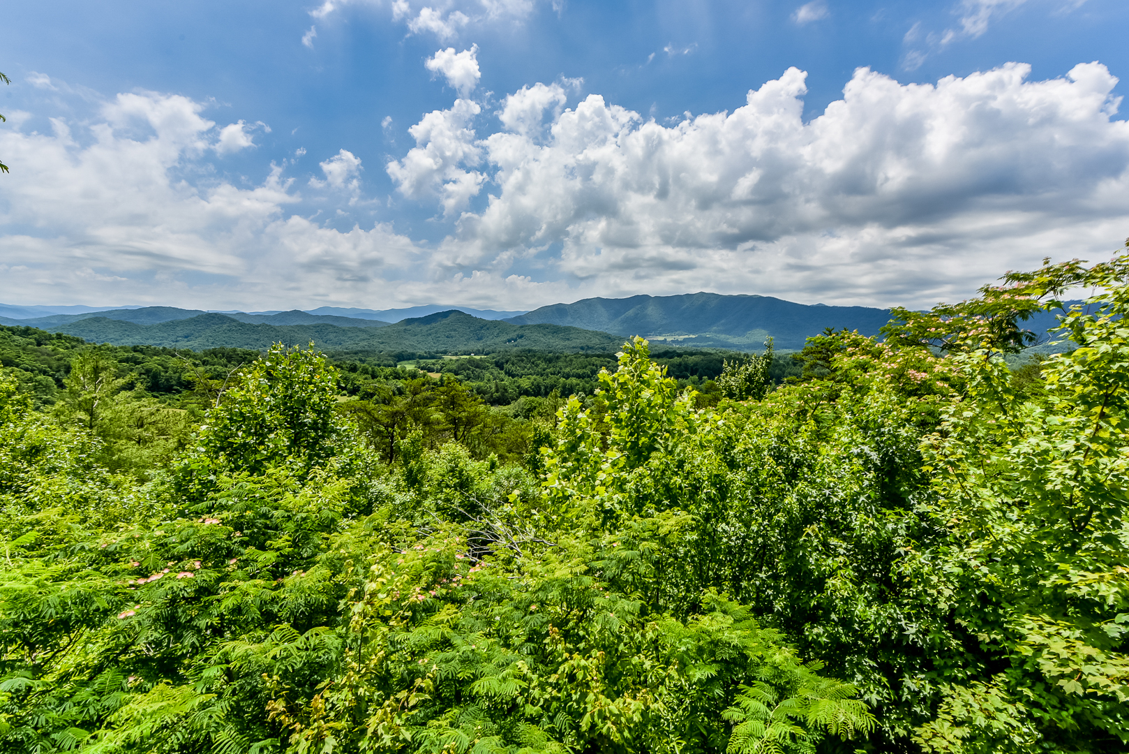 Elk Summit Cabin Rental in the Smoky Mountains