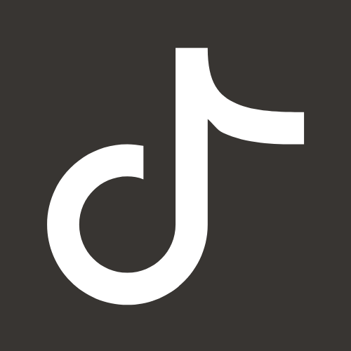 TikTok Logo