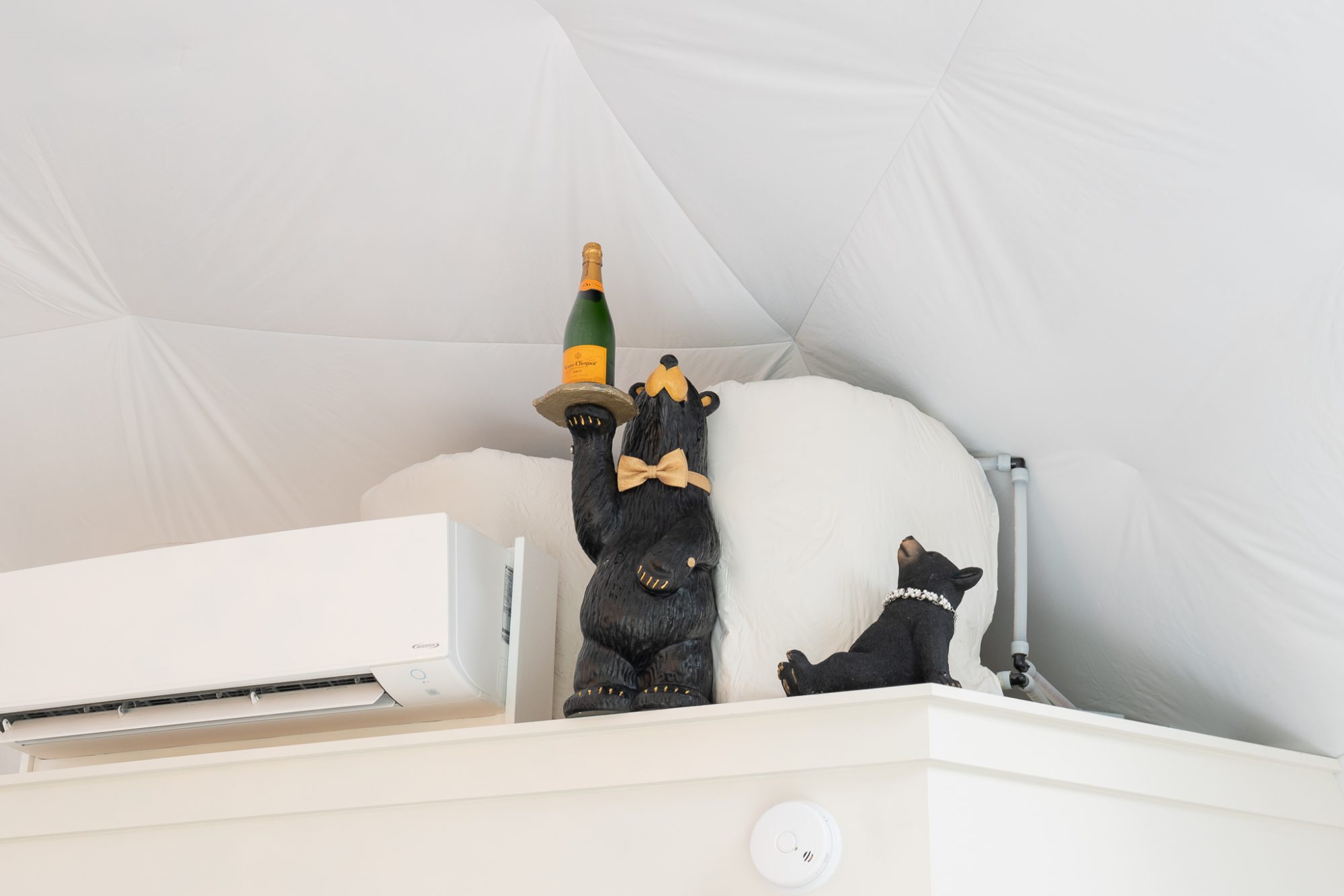 bear holding champagne