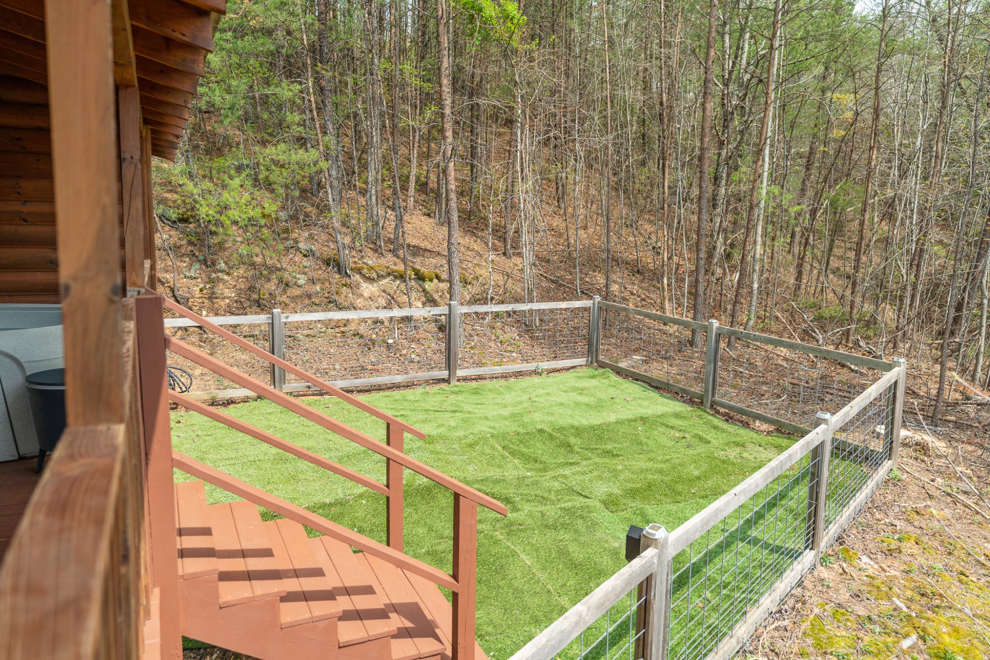 dog yard