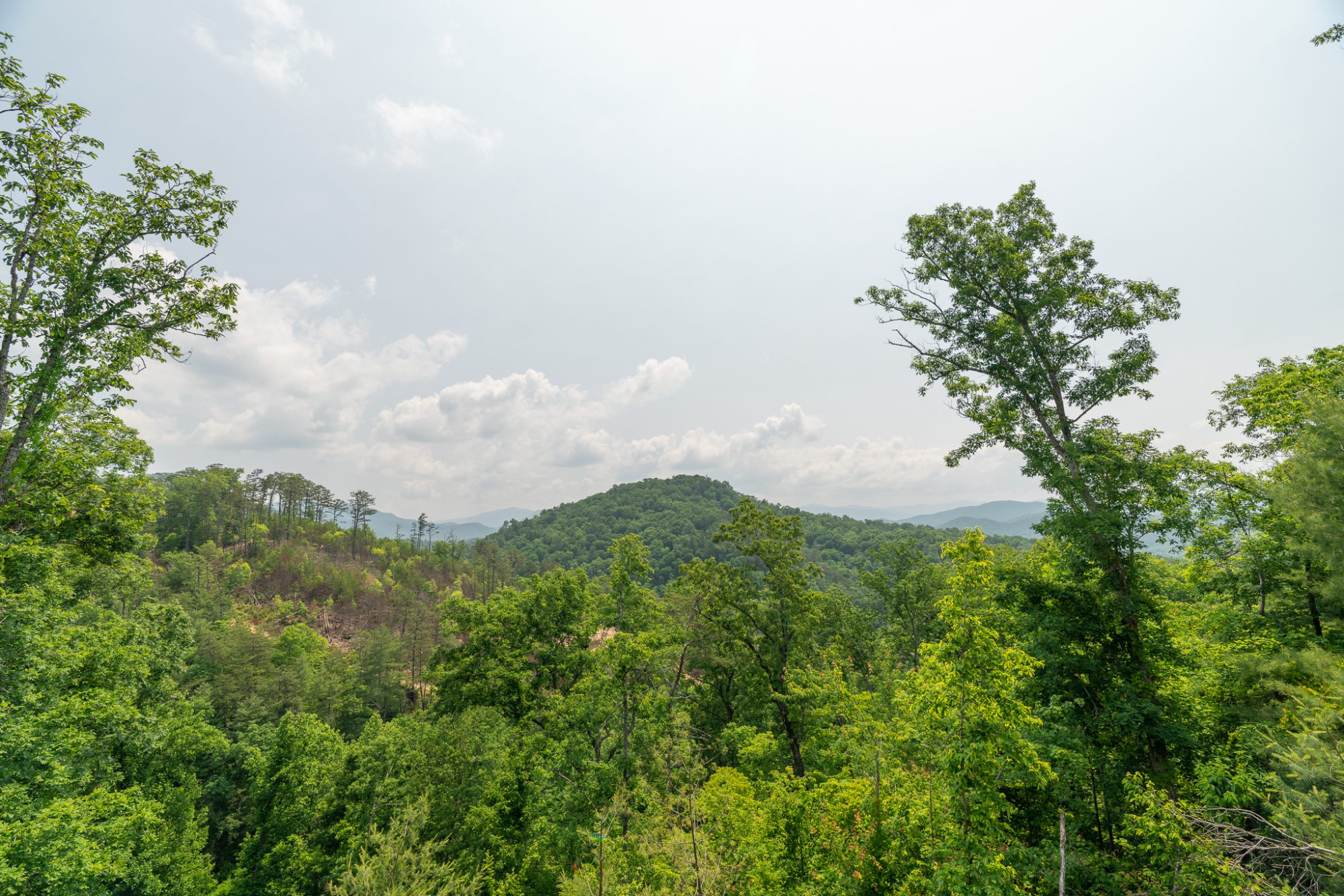 great smoky mountains