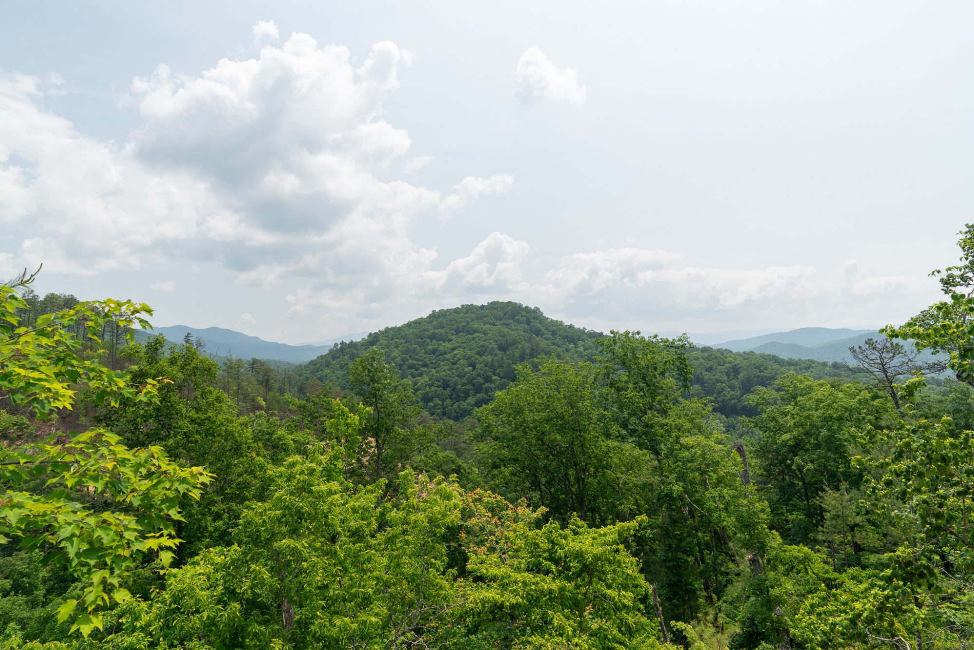 the great smoky mountains