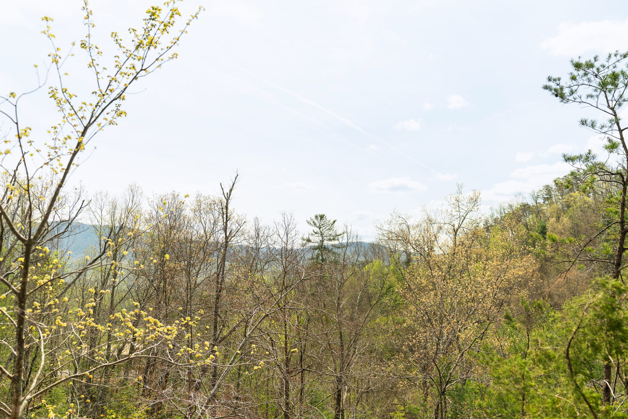 view of smokies