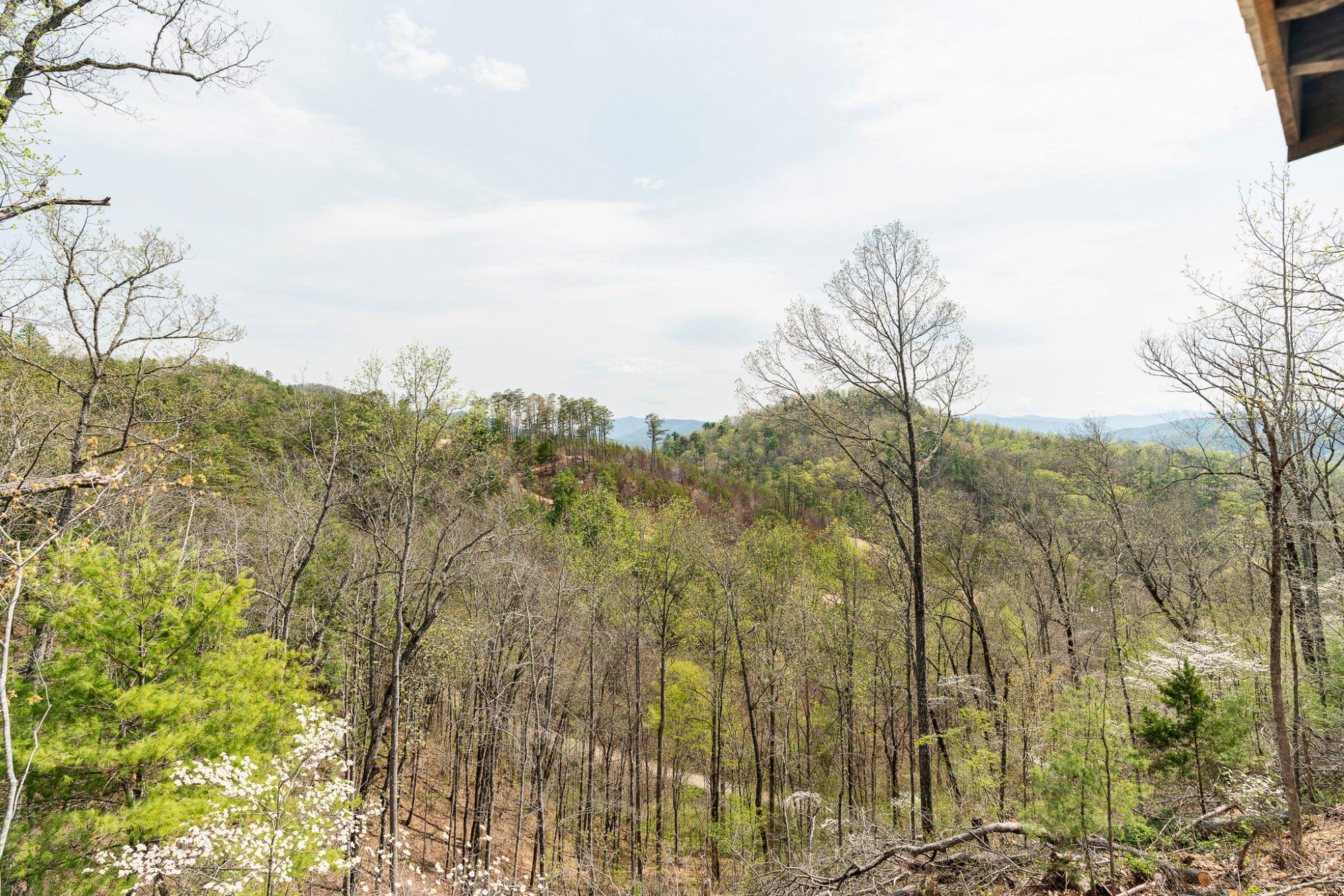 view of the great smoky mtns