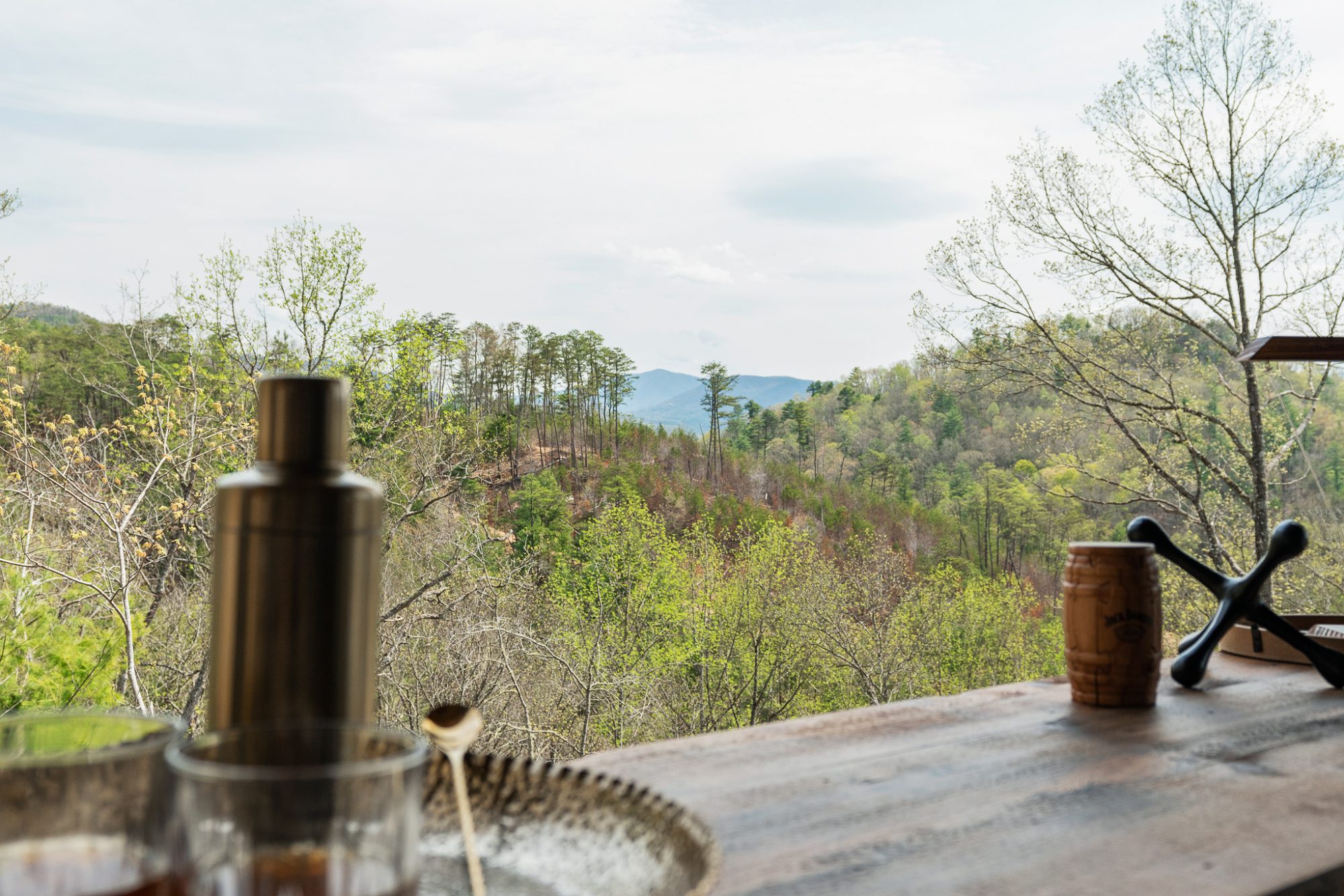 view of the smokies